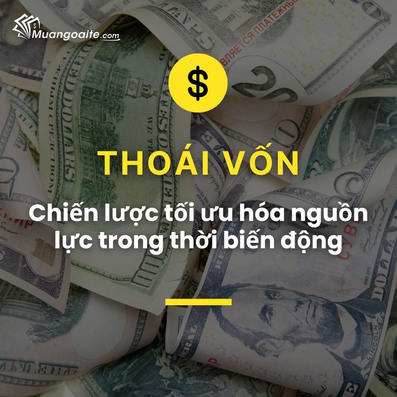 thoái vốn là gì